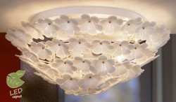 Накладная люстра Lussole GRLSA-5107-09 Asinara