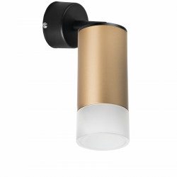 Спот Lightstar RB44031 RULLO