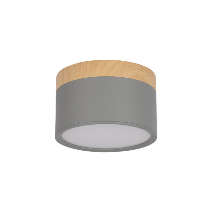 Детский точечный светильник LOFT IT 10162 Grey Grape