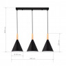 Светильник подвесной EVOLUCE Черный/Черный E27 3*40W           SLE1255-403-03