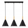 Светильник подвесной EVOLUCE Черный/Черный E27 3*40W           SLE1255-403-03