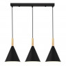 Светильник подвесной EVOLUCE Черный/Черный E27 3*40W           SLE1255-403-03
