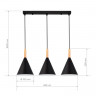 Светильник подвесной EVOLUCE Черный/Черный E27 3*40W           SLE1255-403-03