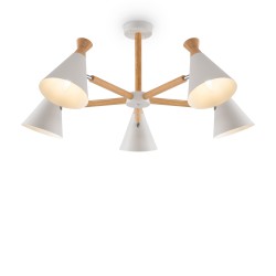 Люстра Freya Rise FR5169PL-05W