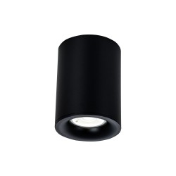 Потолочный светильник Maytoni C012CL-01B Alfa