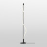 Напольный светильник (торшер) Maytoni MOD166FL-L15B3K