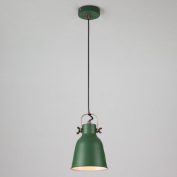 Подвесной светильник Eurosvet 50083/1 зеленый Projector