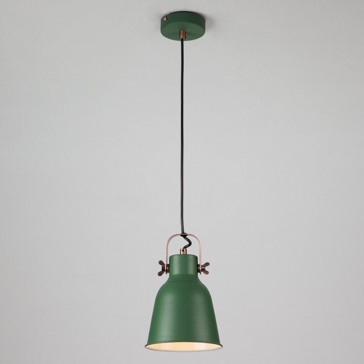 Подвесной светильник Eurosvet 50083/1 зеленый Projector