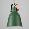 Подвесной светильник Eurosvet 50083/1 зеленый Projector