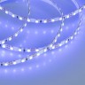 Светодиодная лента Arlight RT 2-5000 12V Blue 5mm 2x (3528, 600 LED, LUX) 015004(1)