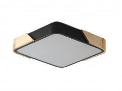 Светильник потолочный ZORTES   ALBERRO  ZRS.01281.48