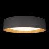 Потолочный светильник LOFT IT 10202 Coin