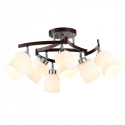 Люстра на штанге Citilux CL126162 Берта