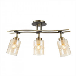 Спот Citilux CL142134 Мерида