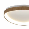 Потолочный светильник NISEKO II 8636 Mantra