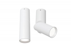 Потолочный светильник Maytoni C027CL-L10W Dafne