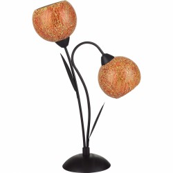 Настольная лампа Lussole LSF-6204-02