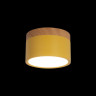 Детский точечный светильник LOFT IT 10162 Yellow Grape