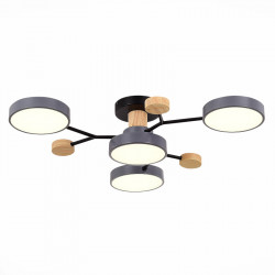 Люстра на штанге Evoluce SLE6006-702-04 FAEMA