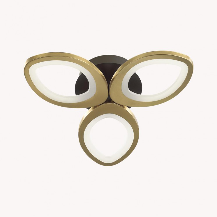 Люстра потолочная Lumion LEDIO 4574/60CL