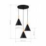 Светильник подвесной EVOLUCE Черный/Черный E27 3*40W           SLE1255-423-03