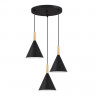 Светильник подвесной EVOLUCE Черный/Черный E27 3*40W           SLE1255-423-03