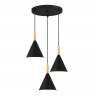 Светильник подвесной EVOLUCE Черный/Черный E27 3*40W           SLE1255-423-03