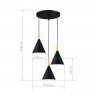 Светильник подвесной EVOLUCE Черный/Черный E27 3*40W           SLE1255-423-03