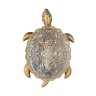 Бра Favourite 2254-1W Turtle
