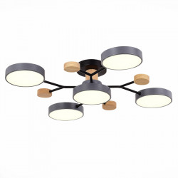 Люстра на штанге Evoluce SLE6006-702-05 FAEMA