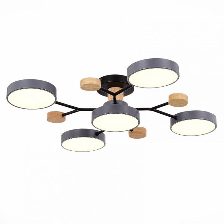 Люстра на штанге Evoluce SLE6006-702-05 FAEMA