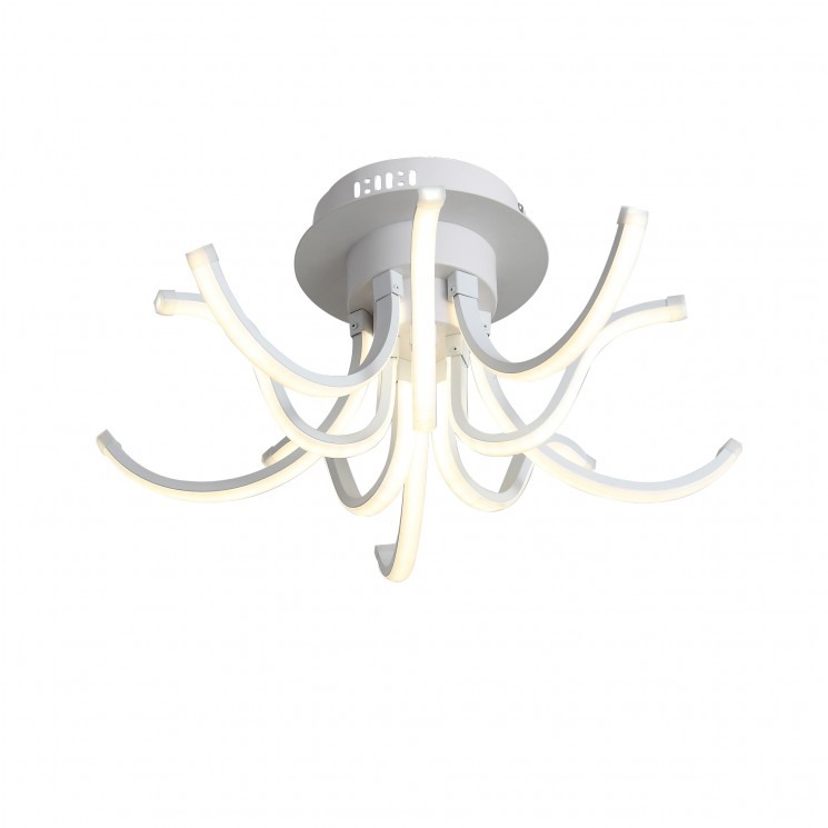 Светильник потолочный ST Luce SL826.502.10 FINDE