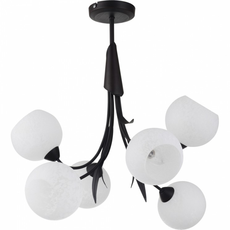 Люстра Lussole LSF-6293-06