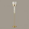 Торшер Odeon Light Nicole 4886/1F