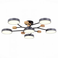 Люстра на штанге Evoluce SLE6006-702-06 FAEMA