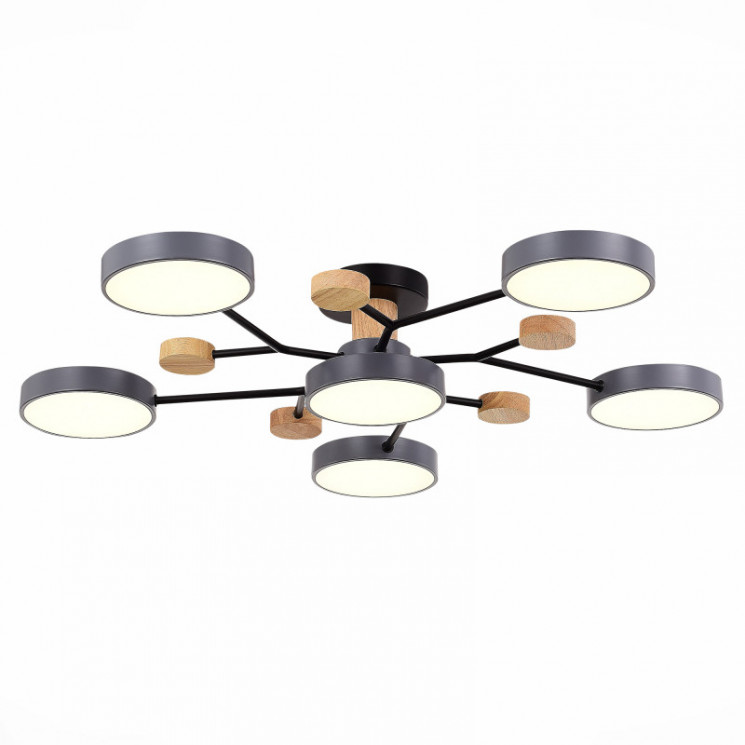 Люстра на штанге Evoluce SLE6006-702-06 FAEMA