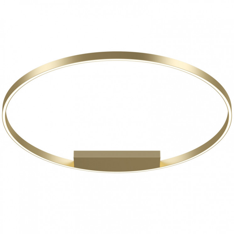 Накладной светильник Maytoni MOD058CL-L65BSK Rim