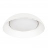 Потолочный светильник LOFT IT 10229 White Capello