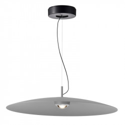 Подвесной светильник Favourite 4412-2P Lars