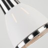 Подвесной светильник Eurosvet Nort 50173/1 белый