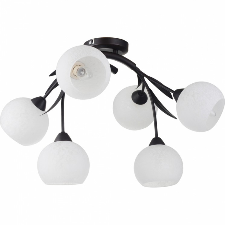 Люстра Lussole LSF-6283-06