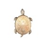 Бра Favourite 2256-1W Turtle