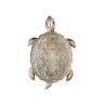 Бра Favourite 2256-1W Turtle