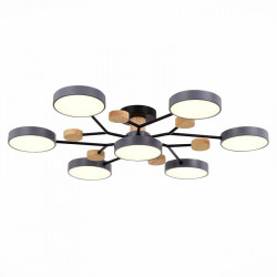 Люстра на штанге Evoluce SLE6006-702-07 FAEMA