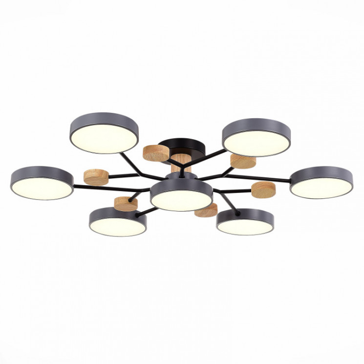 Люстра на штанге Evoluce SLE6006-702-07 FAEMA