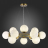 Подвесная люстра Evoluce SLE1191-203-12 FRATTA