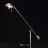 Настольная лампа MW-Light 631033301 Ракурс