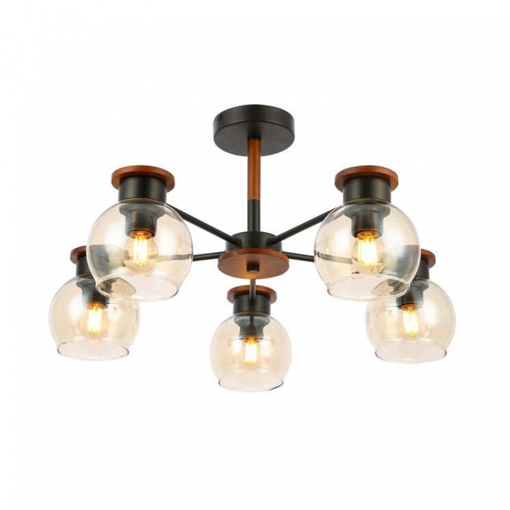 Светильник потолочный Evoluce RASCO SLE108102-05