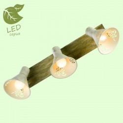 Спот Lussole GRLSP-8059 MCCONNICO