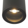 Потолочный светильник Maytoni Bar O306CL-L12GF